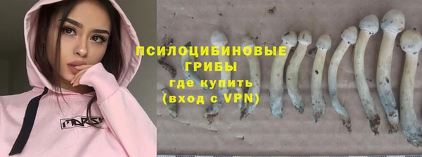 эйфоретик Белокуриха