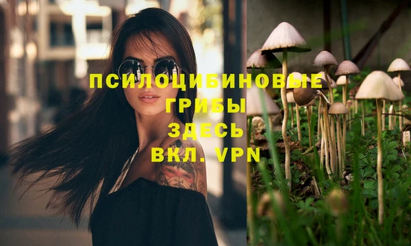 эйфоретик Белокуриха