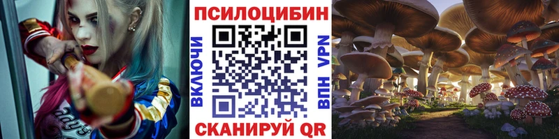 Псилоцибиновые грибы GOLDEN TEACHER  наркошоп  Мышкин 